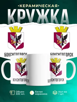 Кружка Россия Бокситогорск