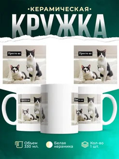Кружка Мемы Просто во