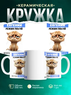 Кружка режим Евгений