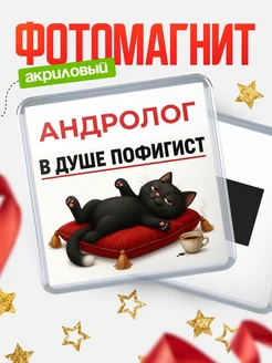 Купить магнит сувенирный 65мм с котом-пофигистом с доставкой по России