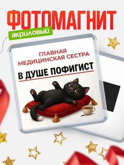 Купить магнит сувенирный 65мм с котом-пофигистом в подарок с доставкой