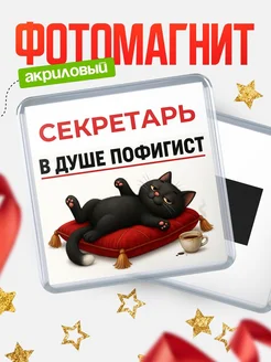 Купить магнит сувенирный 65мм с чёрным котом-пофигистом в подарок с доставкой по России