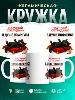 Купить кружку с принтом Научный сотрудник и кот в подарок с доставкой
