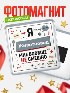 Купить магнит сувенирный 65мм с доставкой по России — ироничный подарок в Туле и Красноярске