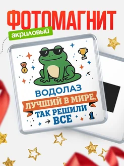 Купить магнит сувенирный 65мм с жабой в очках лучший Водолаз с доставкой