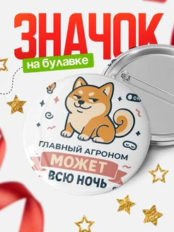 Купить значок Главный агроном кот с доставкой по России — оригинальный подарок коллеге