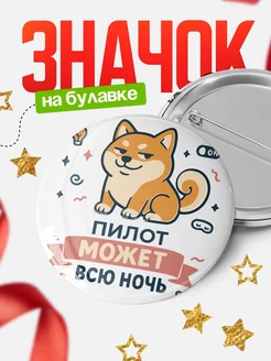 Купить значок Пилот кот с доставкой по России — оригинальный подарок коллеге