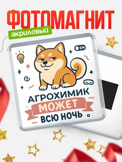 Купить магнит с шиба ину и лампочкой в подарок Агрохимик-специалисту с доставкой