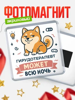 Купить магнит с шиба ину и лампочкой в подарок Гирудотерапевт-специалисту с доставкой