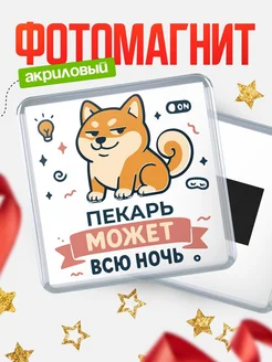 Купить магнит с шиба ину и лампочкой в подарок Пекарь-специалисту с доставкой