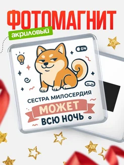 Купить магнит с шиба ину и лампочкой в подарок Сестра милосердия-специалисту с доставкой