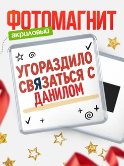 Купить магнит с юмором про Данилом с доставкой по России