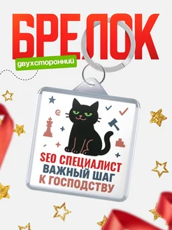 Купить брелок кот удачи Seo специалист менеджер с доставкой по России