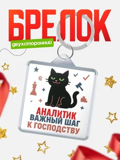 Купить брелок кот удачи Аналитик менеджер с доставкой по России