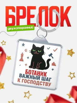 Купить брелок кот удачи Ботаник менеджер с доставкой по России