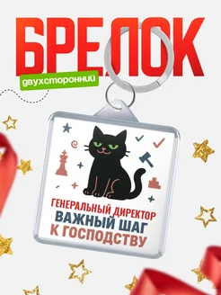 Купить брелок кот удачи Генеральный директор менеджер с доставкой по России