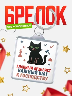 Купить брелок кот удачи Главный архивист менеджер с доставкой по России