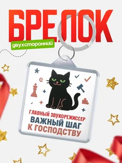 Купить брелок кот удачи Главный звукорежиссер менеджер с доставкой по России