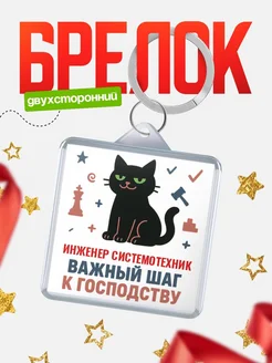 Купить брелок кот удачи Инженер системотехник менеджер с доставкой по России