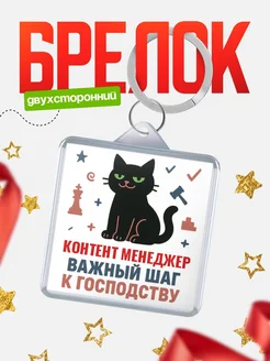 Купить брелок кот удачи Контент менеджер менеджер с доставкой по России