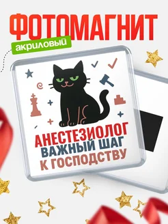 Купить магнит сувенирный 65мм с чёрным котом Анестезиолог с доставкой по России