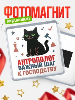 Купить магнит сувенирный 65мм с чёрным котом Антрополог с доставкой по России