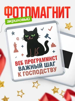 Купить магнит сувенирный 65мм с чёрным котом Веб программист с доставкой по России