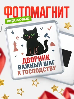 Купить магнит сувенирный 65мм с чёрным котом Дворник с доставкой по России