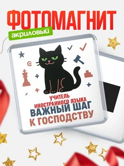 Купить магнит сувенирный 65мм с чёрным котом Учитель иностранного языка с доставкой по России