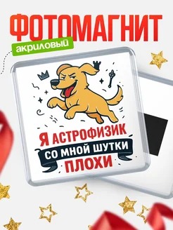 Купить магнит сувенирный 65мм с озорным псом Астрофизик с доставкой по России