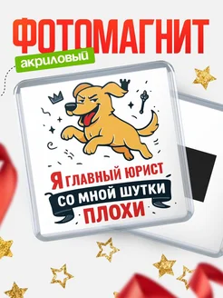 Купить магнит сувенирный 65мм с озорным псом Главный юрист с доставкой по России