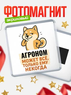 Купить магнит сувенирный 65мм с шиба ину и Агроном-юмором с доставкой по России