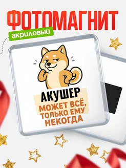 Купить магнит сувенирный 65мм с шиба ину и Акушер-юмором с доставкой по России