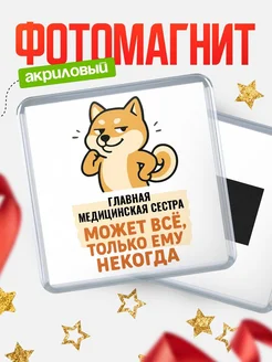 Купить магнит сувенирный 65мм с шиба ину и Главная медицинская сестра-юмором с доставкой по России