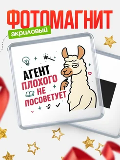 Купить магнит сувенирный 65мм «Агент плохого не посоветует» с доставкой по России
