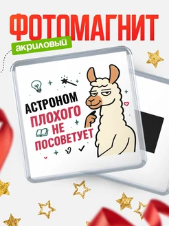 Купить магнит сувенирный 65мм «Астроном плохого не посоветует» с доставкой по России