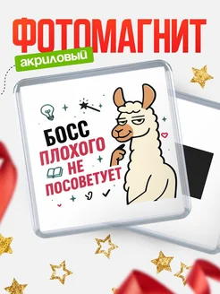 Купить магнит сувенирный 65мм «Босс плохого не посоветует» с доставкой по России