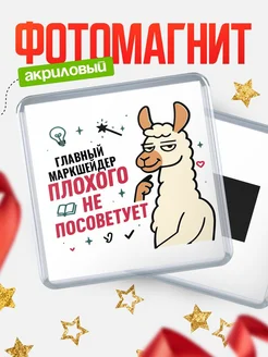 Купить магнит сувенирный 65мм «Главный маркшейдер плохого не посоветует» с доставкой по России