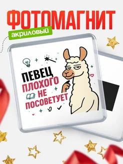 Купить магнит сувенирный 65мм «Певец плохого не посоветует» с доставкой по России