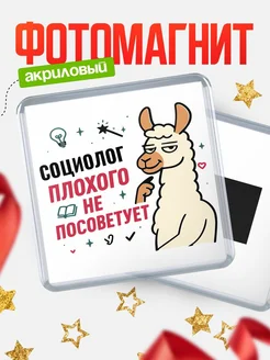 Купить магнит сувенирный 65мм «Социолог плохого не посоветует» с доставкой по России