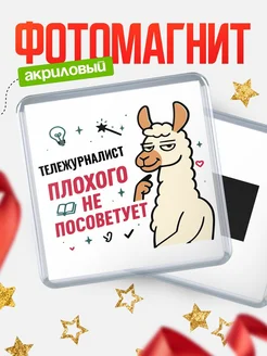 Купить магнит сувенирный 65мм «Тележурналист плохого не посоветует» с доставкой по России