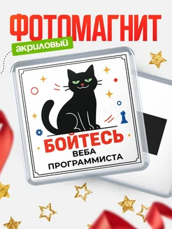 Купить магнит «Боюсь Веба программиста» с доставкой по России — оригинальный подарок коллеге