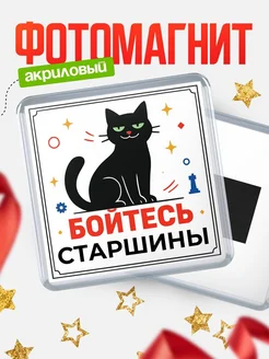 Купить магнит «Боюсь Старшины» с доставкой по России — оригинальный подарок коллеге