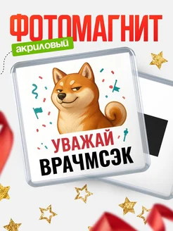 Купить магнит сувенирный 65мм с шиба ину Врачмсэк в подарок с доставкой