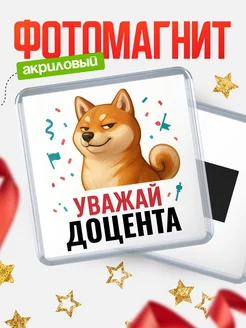 Купить магнит сувенирный 65мм с шиба ину Доцента в подарок с доставкой