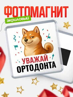 Купить магнит сувенирный 65мм с шиба ину Ортодонта в подарок с доставкой