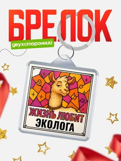 Купить брелок Эколога с доставкой по России — именной подарок кадровику