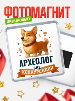 Купить магнит корги Археолог с доставкой по России — оригинальный подарок кадровику