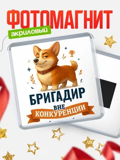 Купить магнит корги Бригадир с доставкой по России — оригинальный подарок кадровику
