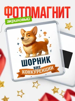 Купить магнит корги Шорник с доставкой по России — оригинальный подарок кадровику
